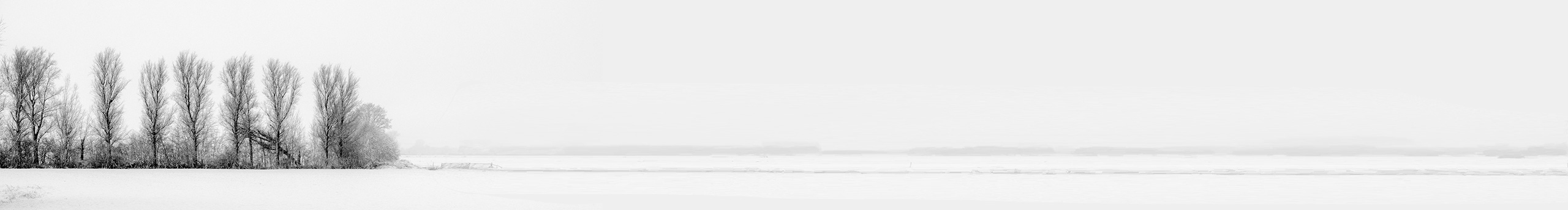 丨多鱼丨的个人主页（封面预览） - 主页封面设置 - 站酷设计师丨多鱼丨原创素材 - 站酷ZCOOL