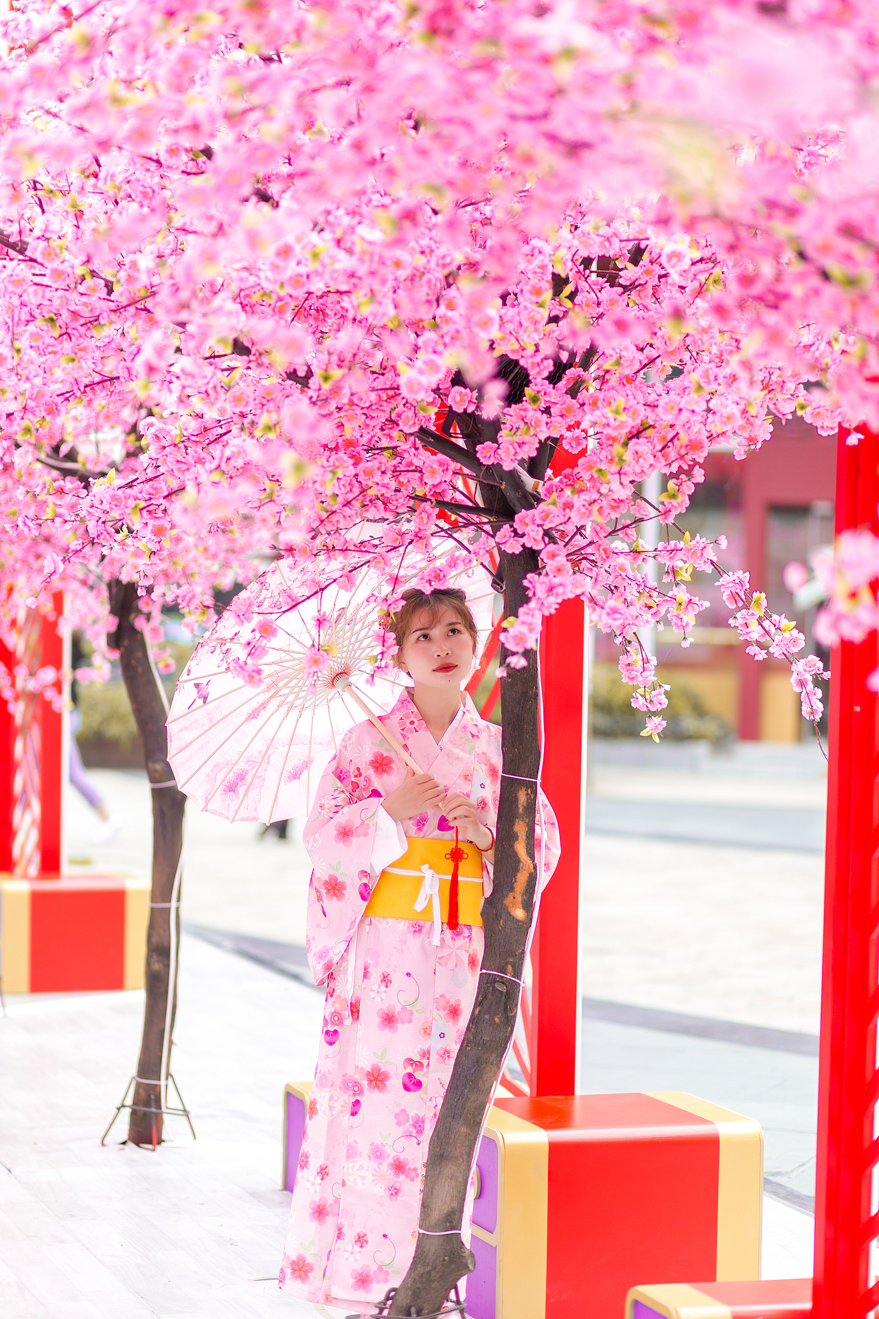 哇 !好美的樱花
