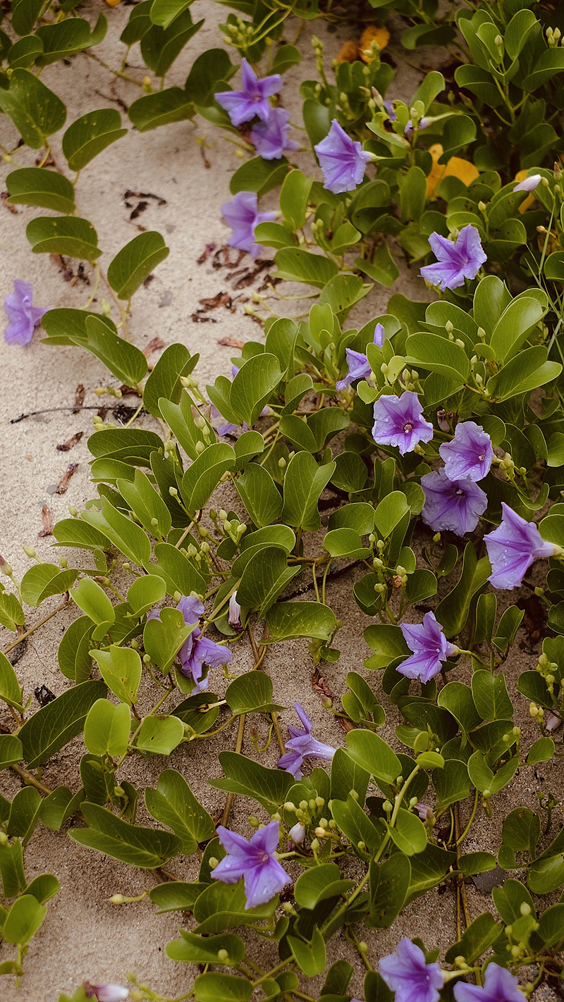 东山岛上一个庐（图ZMjI2MzYzNTEy） - 风光摄影 - 站酷设计师PererZhou原创素材 - 站酷ZCOOL