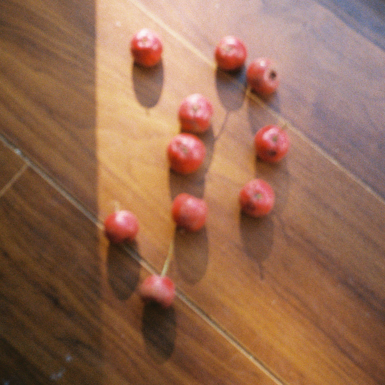 coz u（图ZMzMzNDYzNDY4） - 人像摄影 - 站酷设计师NiccoCai原创素材 - 站酷ZCOOL