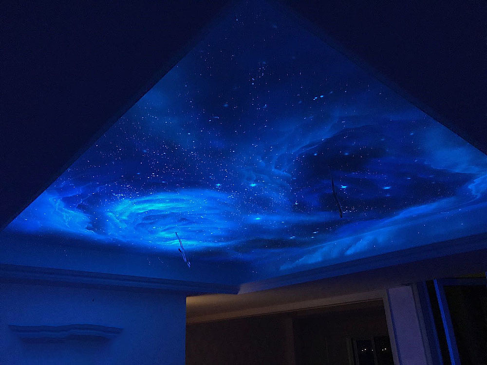 别墅吊顶星空主题隐形画作品上海墙绘