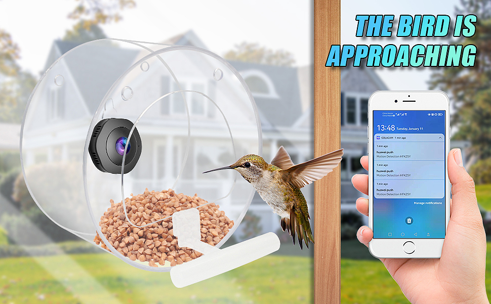 捕鸟器亚马逊主图/ A+