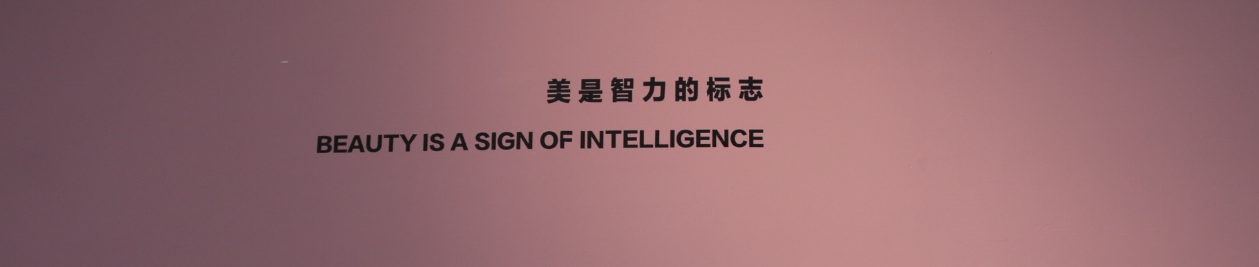 西红圣女果儿的个人主页（封面预览） - 主页封面设置 - 站酷设计师西红圣女果儿原创素材 - 站酷ZCOOL