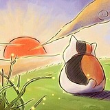 晚星_的头像