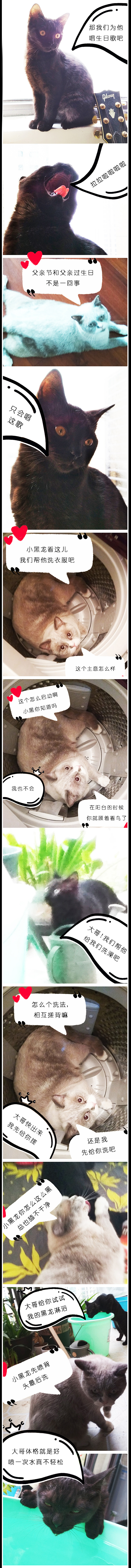 《猫咪通话》父亲节