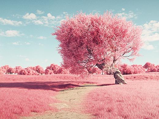 平時的一些練習（個人主頁-ZNTM3MjM3MzI=） - 其他三維 - 站酷設計師sumi856原創(chuàng)素材 - 站酷ZCOOL