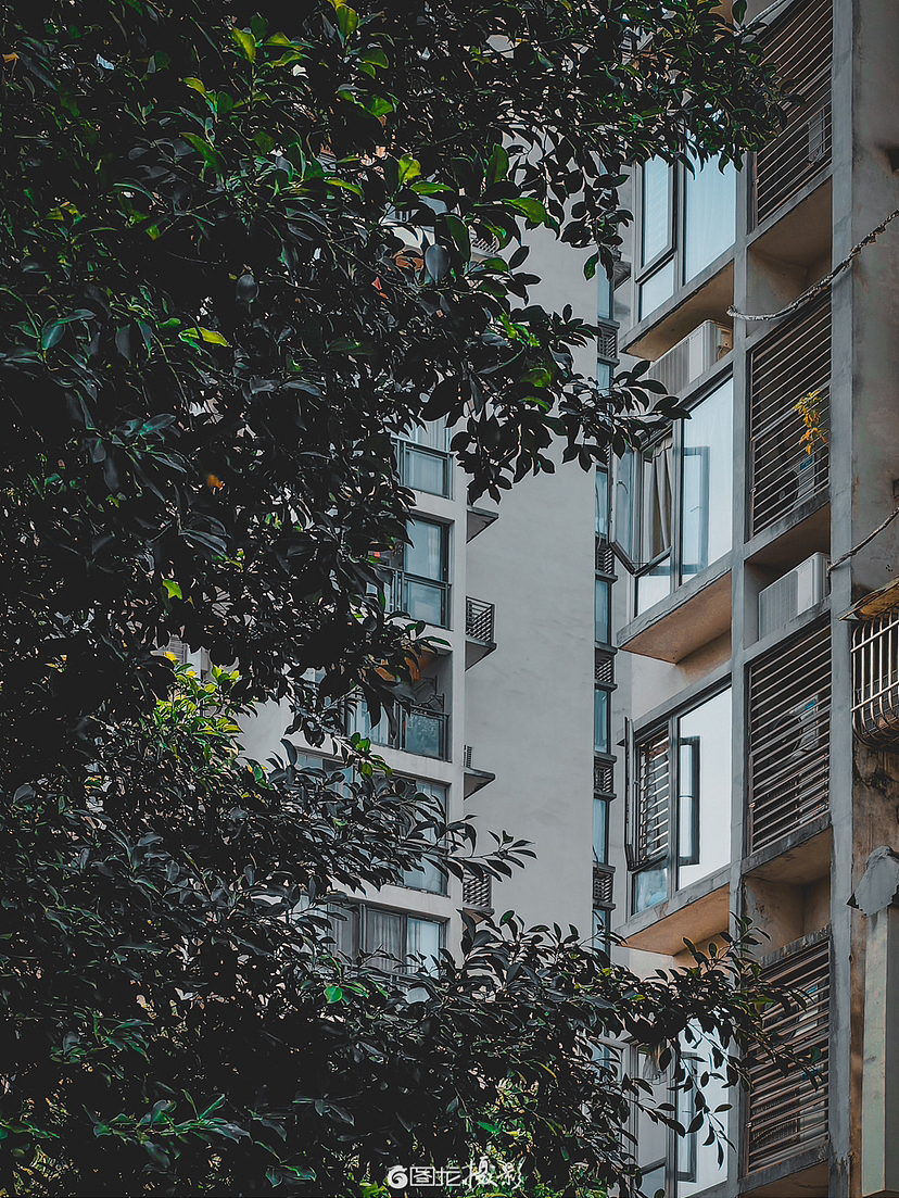 随春（手机摄影）（图ZMzM0NDE2MTU2） - 风光摄影 - 站酷设计师图龙摄影原创素材 - 站酷ZCOOL