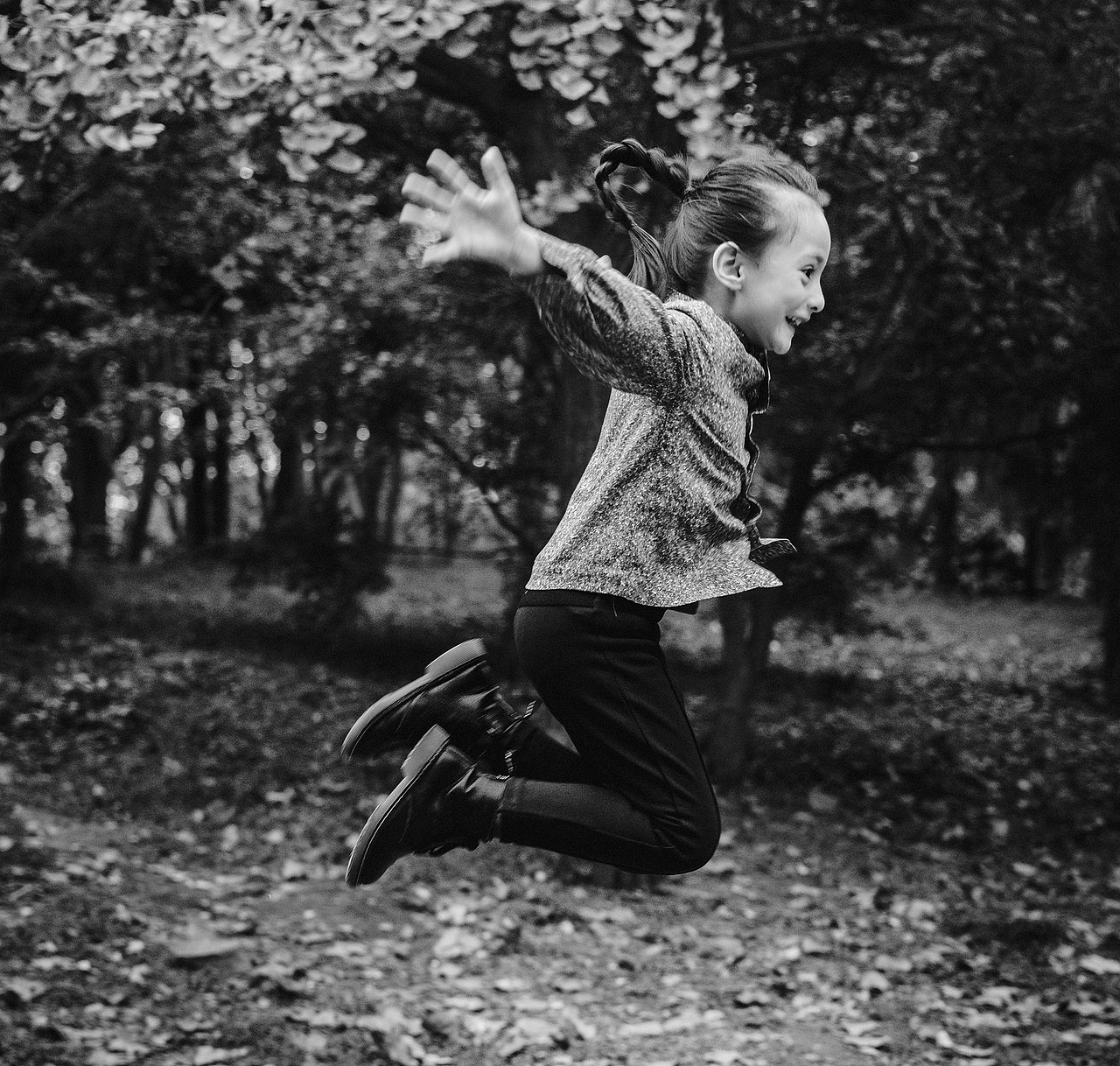 想要从你的眼睛里看到这座世界花园