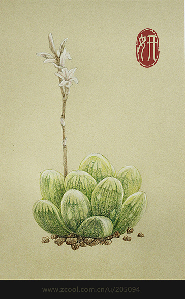 手绘多肉植物3（图ZMTg2MjExNzI=） - 商业插画 - 站酷设计师Airlsa原创素材 - 站酷ZCOOL
