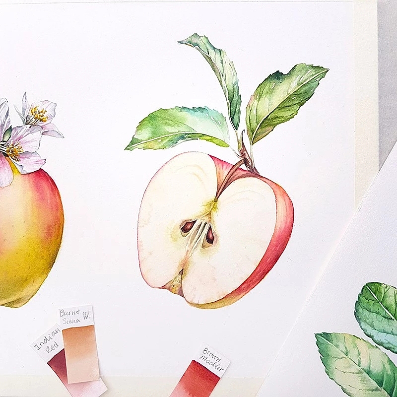 少女风水彩（图ZMTY0NzUxMzQ0） - 艺术插画 - 站酷设计师秋蜜儿原创素材 - 站酷ZCOOL