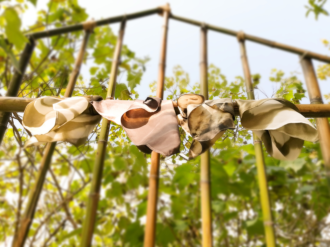 草木染-书籍装帧设计（图ZMTY0OTk3NzY0） - 书籍/画册 - 站酷设计师Hasdisappeared原创素材 - 站酷ZCOOL