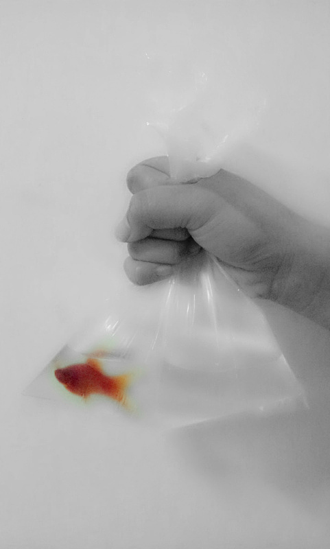 多年前～乱七八糟的一切（图ZMjQ5MDYzMzY=） - 其他手工艺 - 站酷设计师蜜桃六块钱俩原创素材 - 站酷ZCOOL