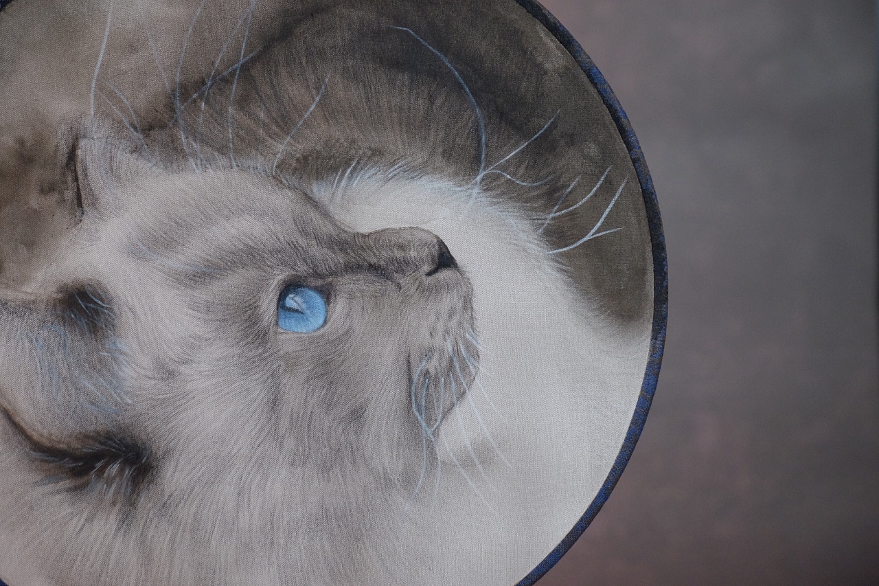 手绘团扇画--猫咪