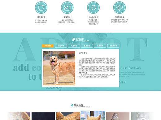 宠物医院官网