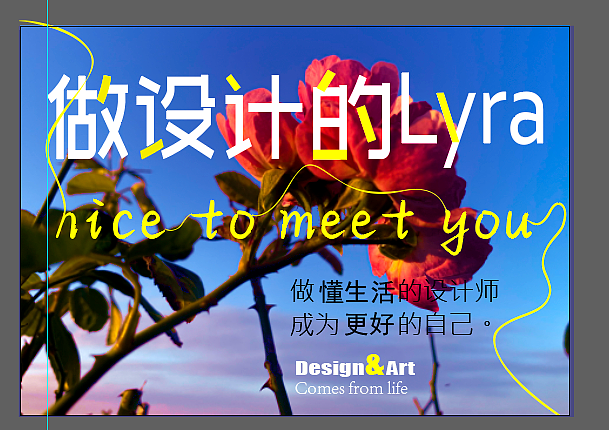 摄影/风格/临摹