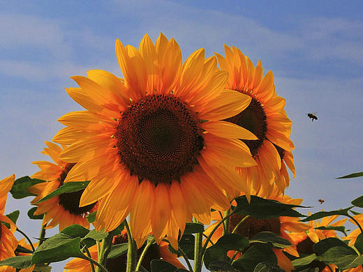 暗戀是一個(gè)人的事情（個(gè)人主頁(yè)-ZNTQwMzAyODg=） - 書籍/畫冊(cè) - 站酷設(shè)計(jì)師是阿敏原創(chuàng)素材 - 站酷ZCOOL