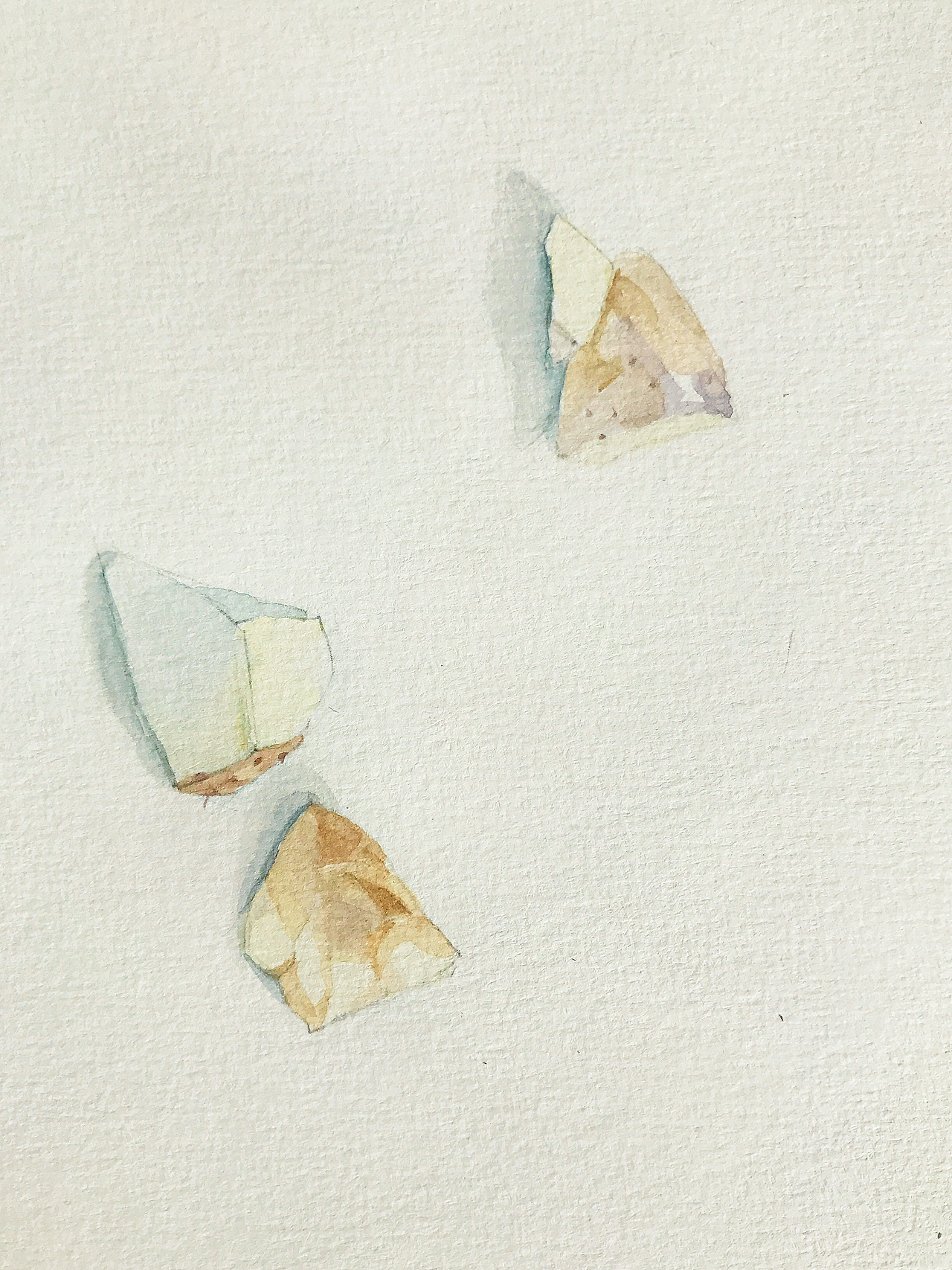 这是一种安静的心情