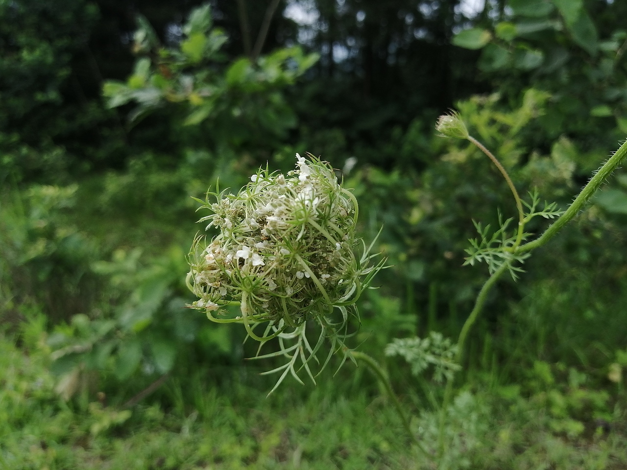 流年浮生（圖ZMjA0Mzk5MjEy） - 環(huán)境/建筑攝影 - 站酷設(shè)計(jì)師A玖熙原創(chuàng)素材 - 站酷ZCOOL