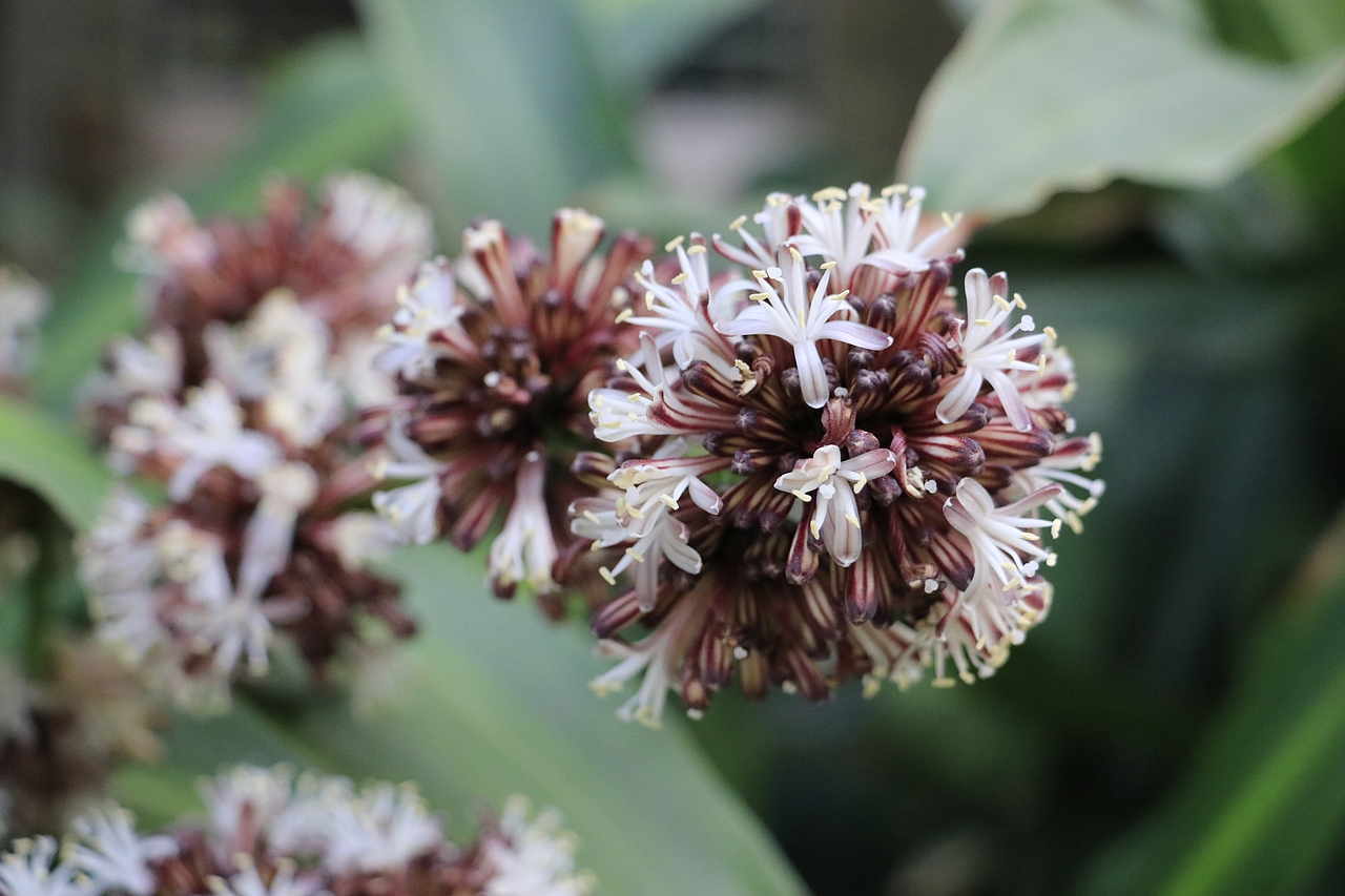 东湖公园之偶遇鸟趣&猫咪（图ZMjQzNjUxMzIw） - 风光摄影 - 站酷设计师飞天猪猫原创素材 - 站酷ZCOOL