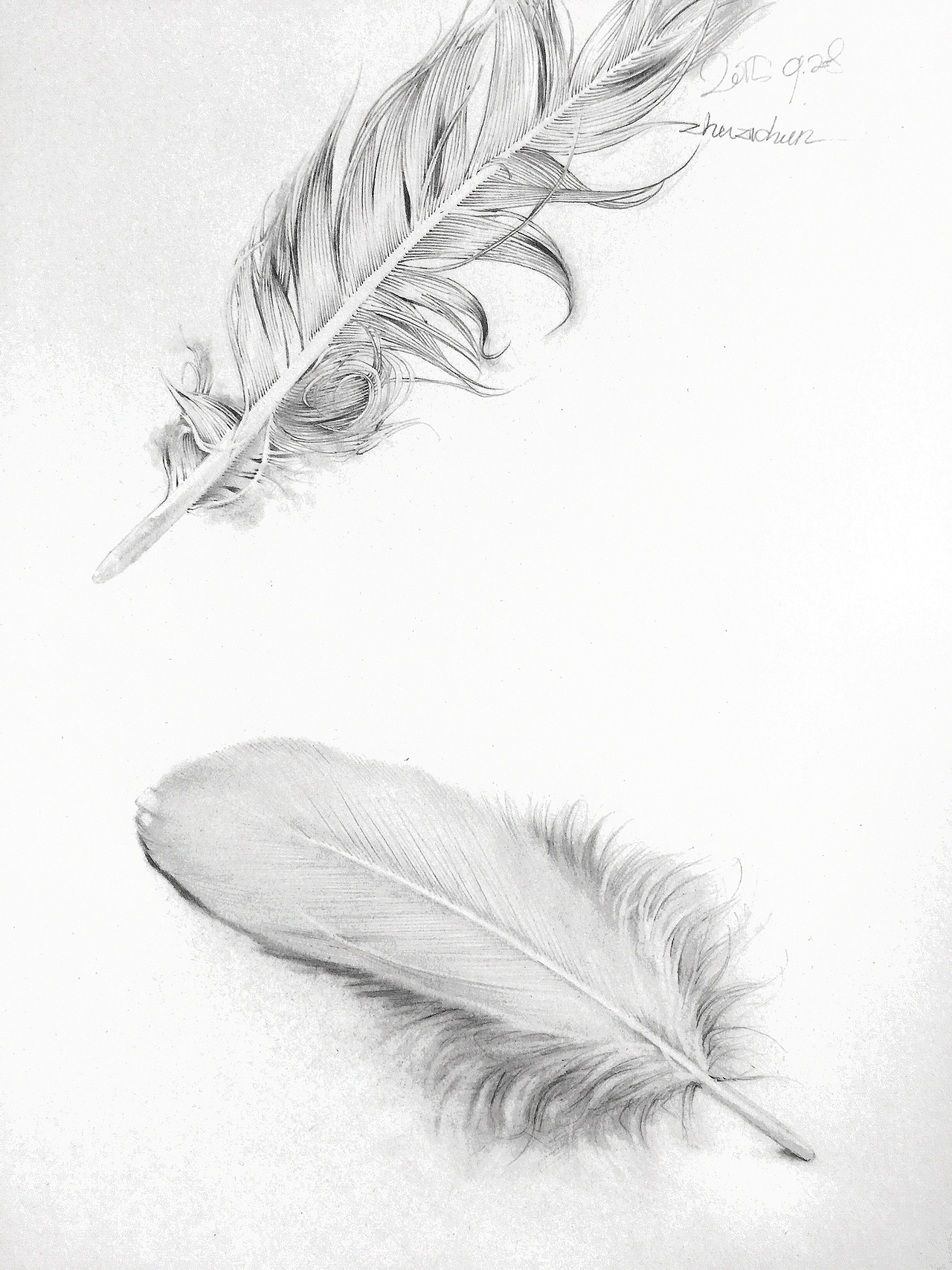 随心画（图ZMzg2NjQ5MjQ=） - 绘画 - 站酷设计师seasonjune原创素材 - 站酷ZCOOL