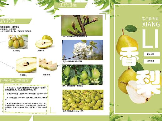 平面（個(gè)人主頁-ZNDU4ODYwNzY=） - 其他平面 - 站酷設(shè)計(jì)師Cok可力原創(chuàng)素材 - 站酷ZCOOL