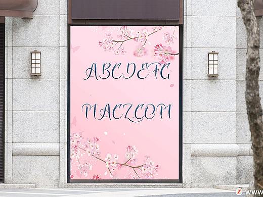 Zalika时尚脚本现代字体