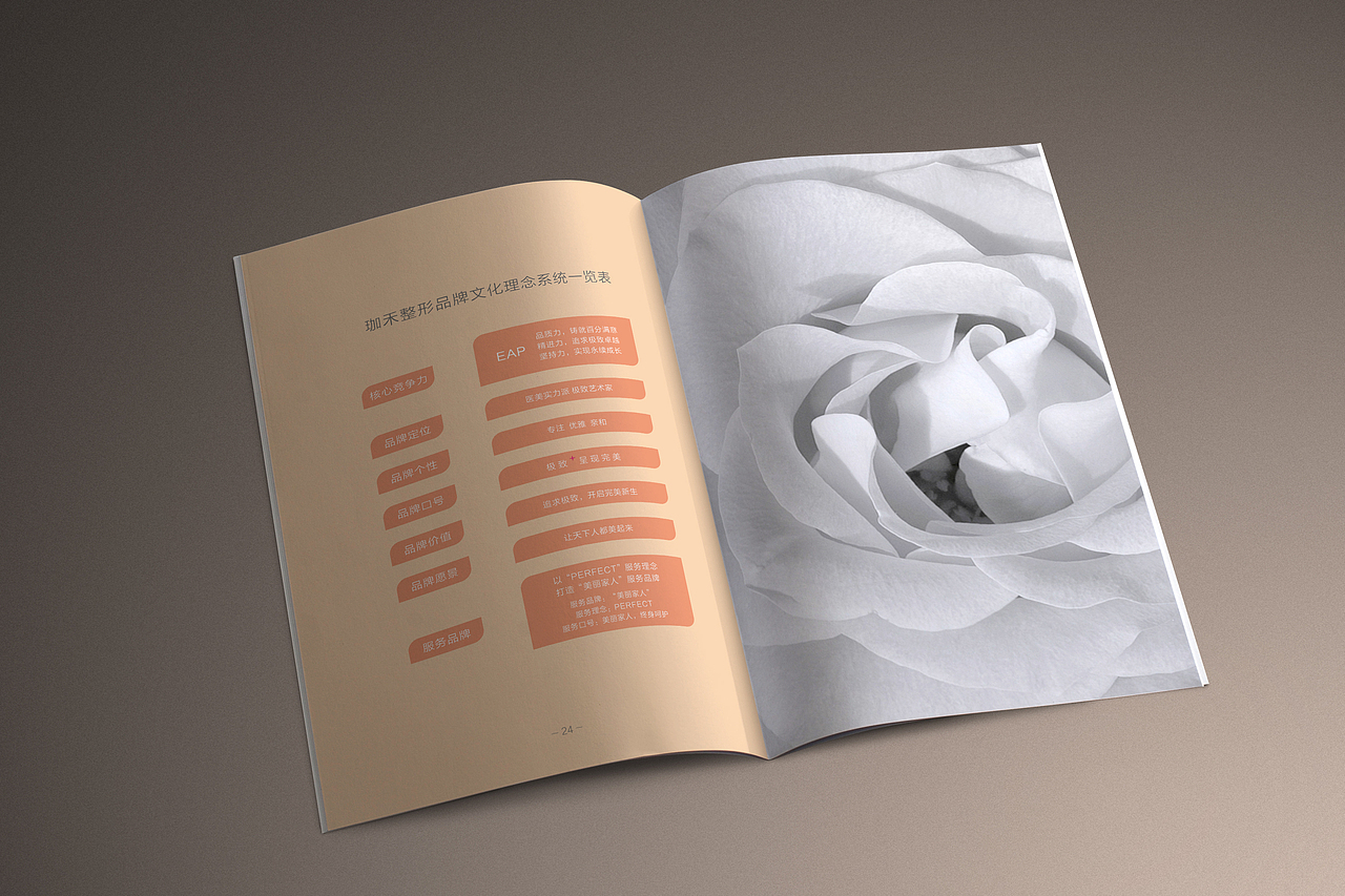 整形美容医院文化手册（图ZMjUyNjM1NTI=） - 书籍/画册 - 站酷设计师JuneStudio原创素材 - 站酷ZCOOL