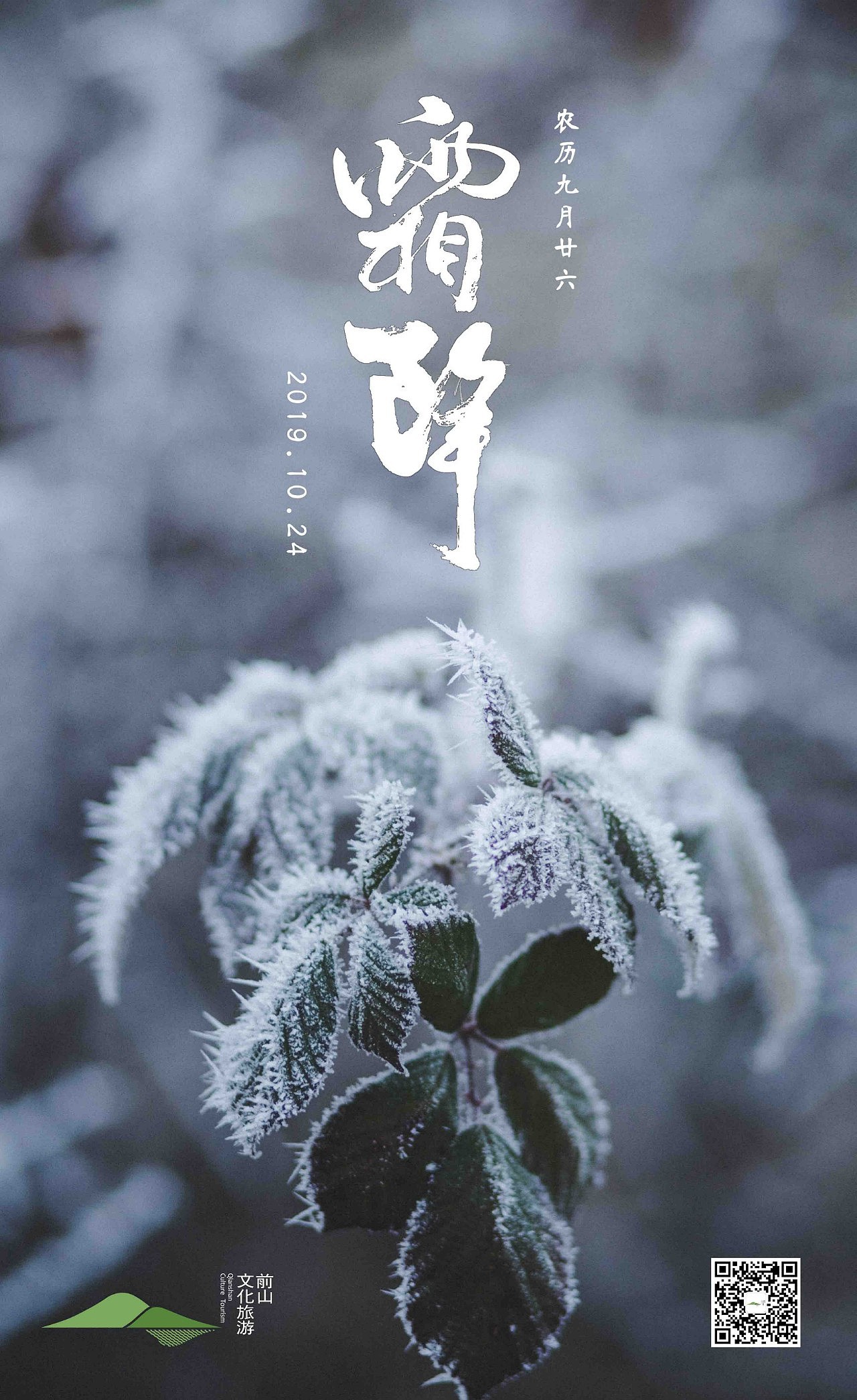二十四节气立春春天的柳叶插画图片-千库网