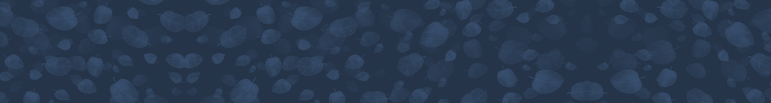 CHS云由的個(gè)人主頁(yè)（封面預(yù)覽） - 主頁(yè)封面設(shè)置 - 站酷設(shè)計(jì)師CHS云由原創(chuàng)素材 - 站酷ZCOOL