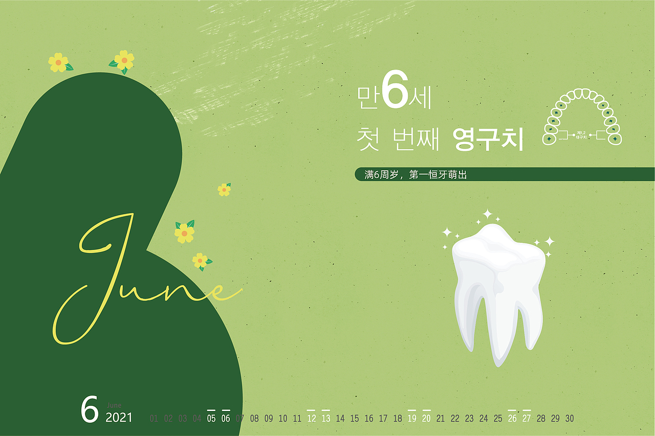 口腔年度日历