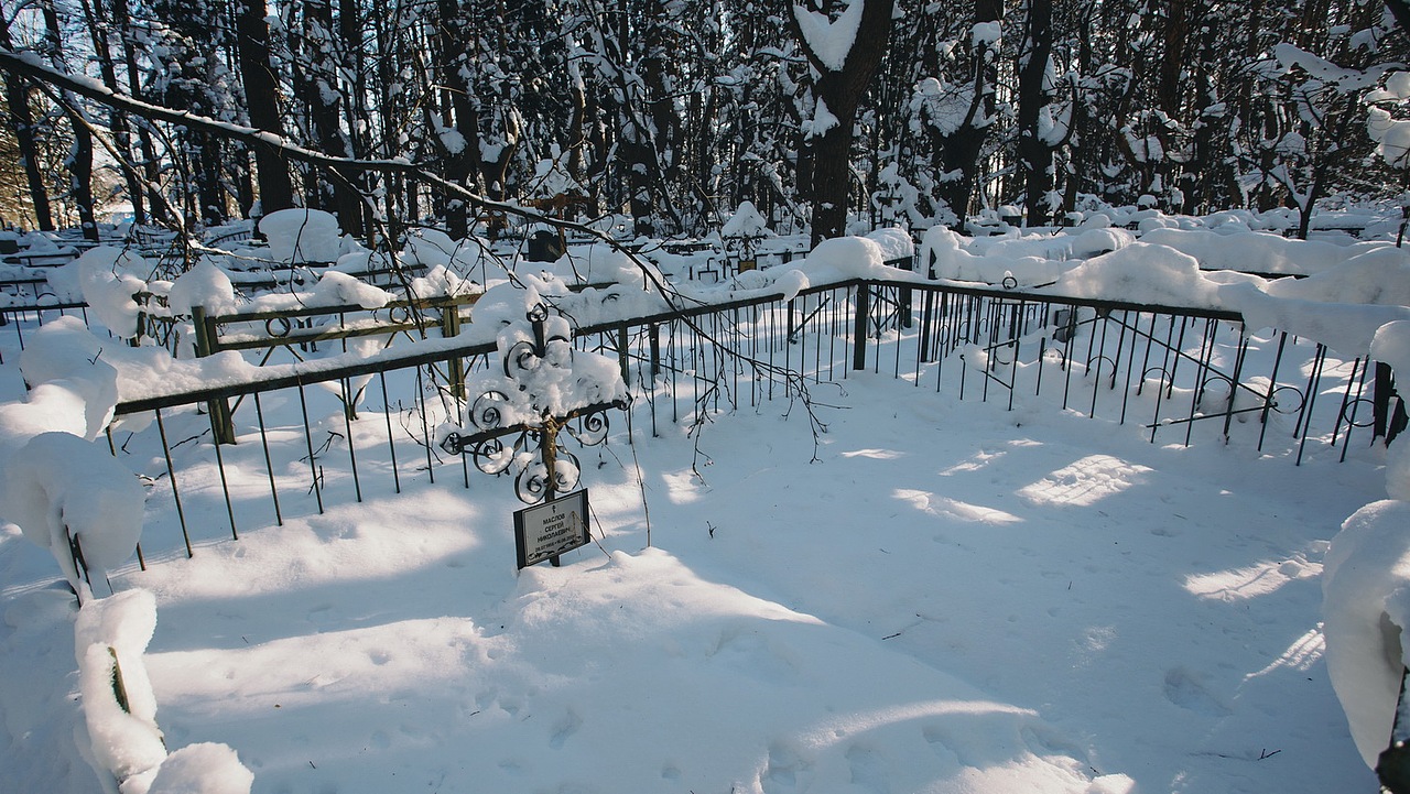 在网上有外国网友提过研究所是不允许进入的,不过可以给保安塞“狗粮费”,可能可以放行。SEN下车,招呼胖保安过来,给胖保安塞了几百卢布,希望可以放行让我们参观。胖保安笑了笑摆摆手,指了指大门上的监控标识拒绝了我们。此时对于被拦住的情况,我们已经习以为常了。
<br>“ 来回160KM+呢,不能这样子就回去吧”