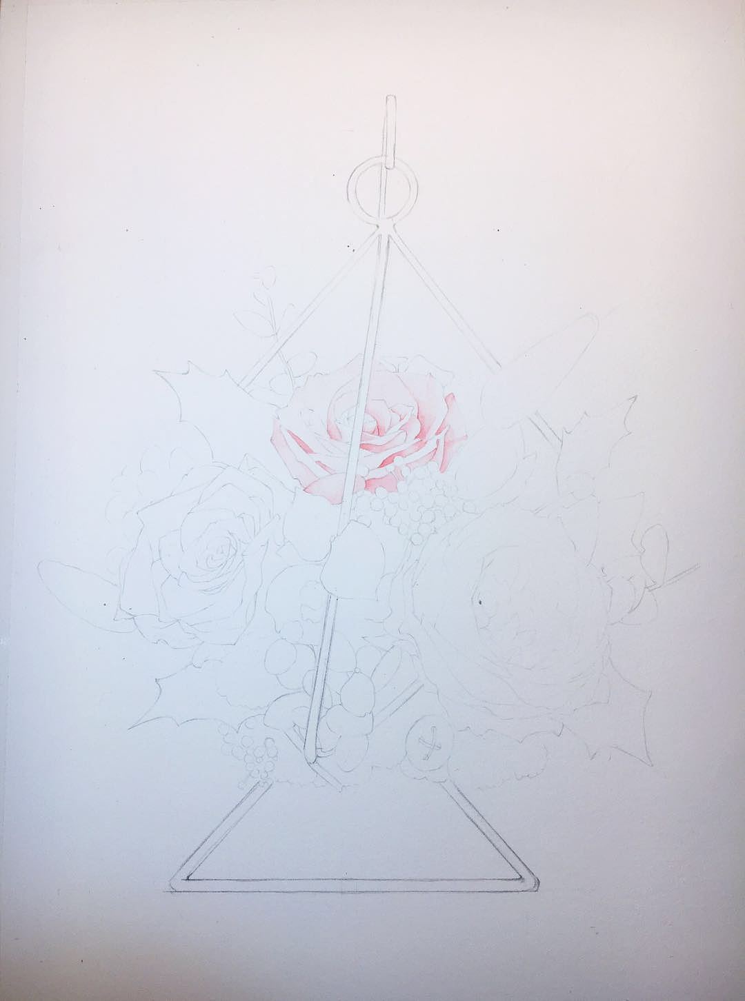 花艺水彩小过程