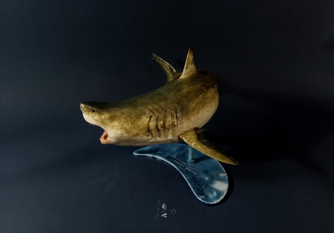 涂装作品丨pegasus hobbies 飞马大白鲨