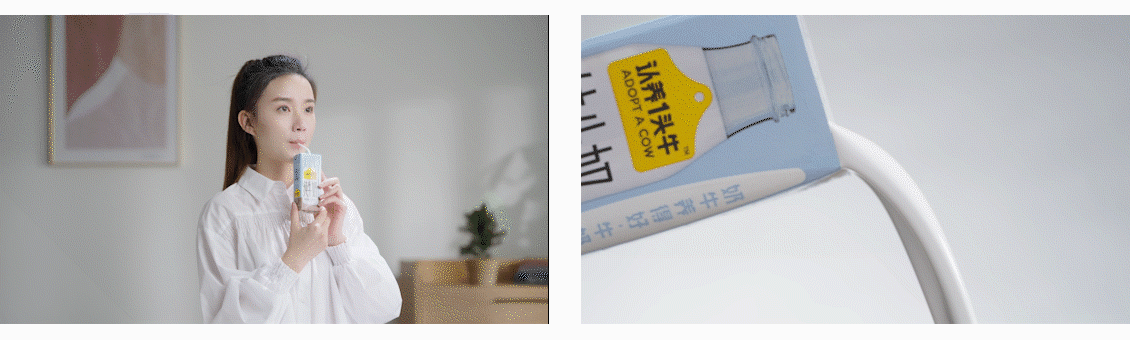 马上起飞 / 2022启航 Foodography年终总结