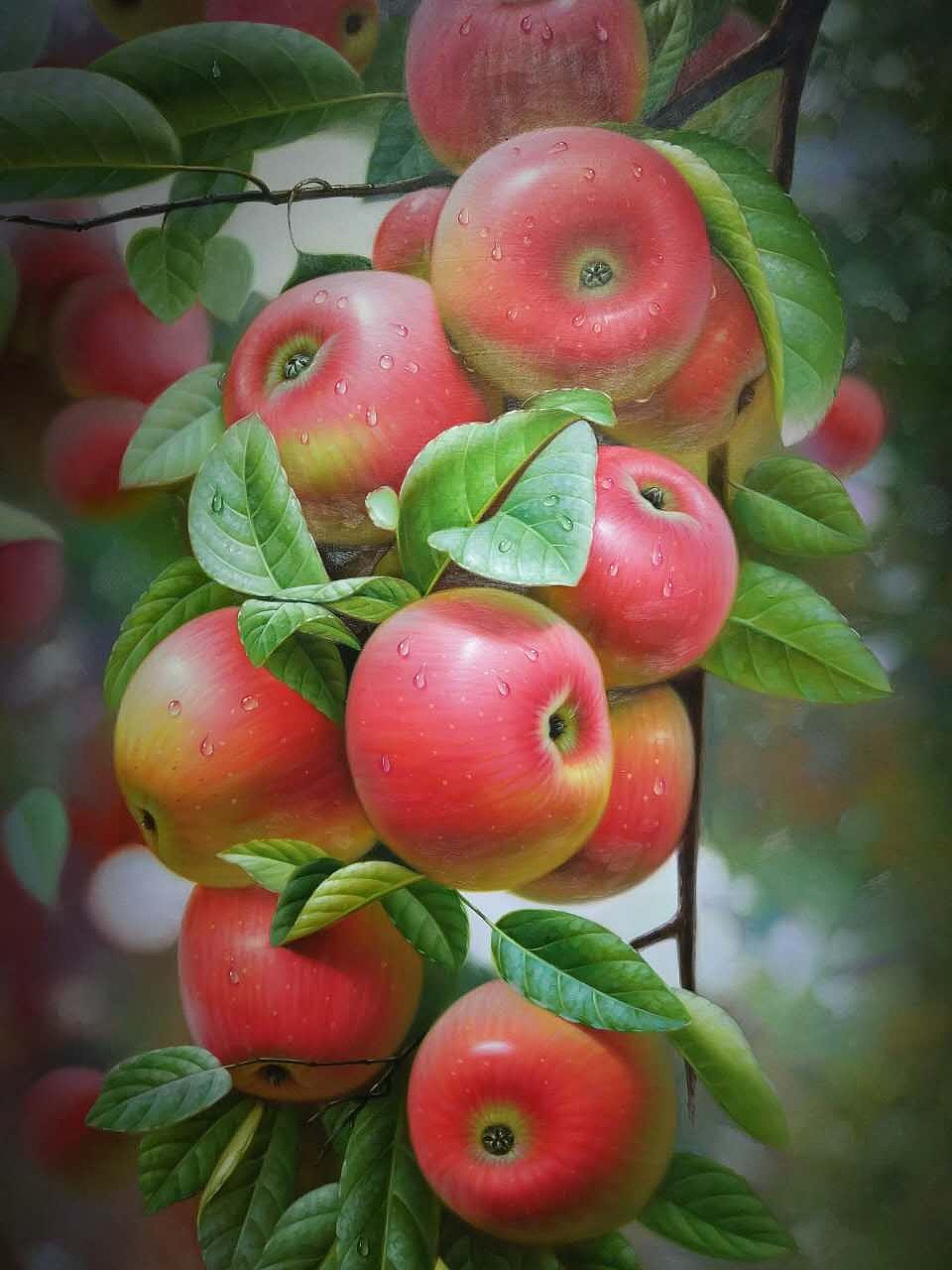 油画拍摄|摄影|静物|chuanyiba39 - 原创作品 - 站酷 (zcool)