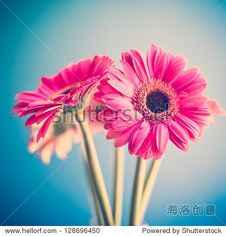 ddddddddddd（圖ZMjA3NjYwMzM2） - 品牌 - 站酷設(shè)計(jì)師高三六班原創(chuàng)素材 - 站酷ZCOOL