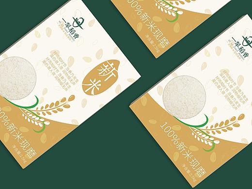 大米品牌设计