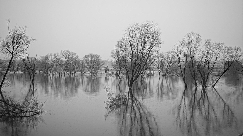 灞河烟柳（图ZMzIxODM2MDk2） - 风光摄影 - 站酷设计师洛书原创素材 - 站酷ZCOOL