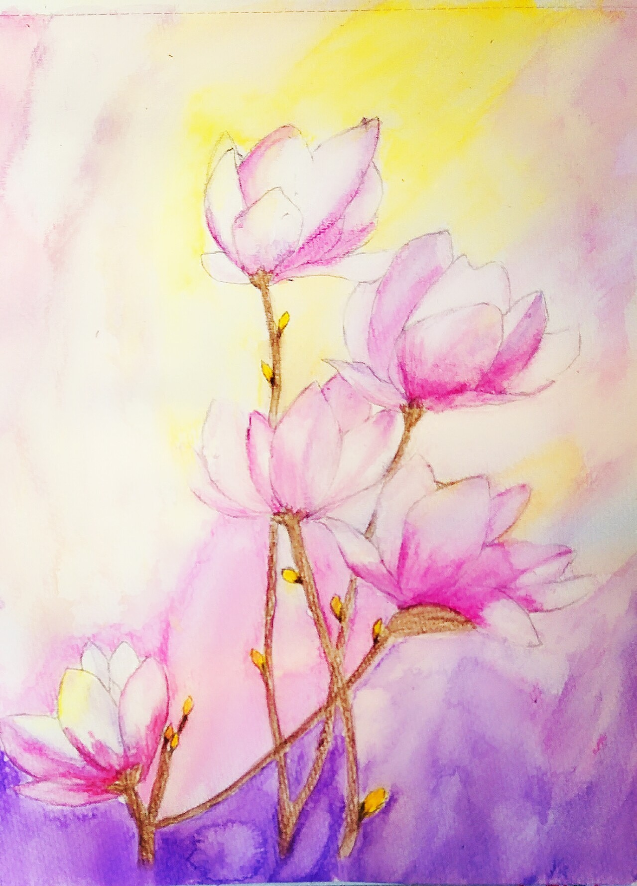 水溶性彩铅《生如夏花》|插画|创作习作|angelinaone - 原创作品