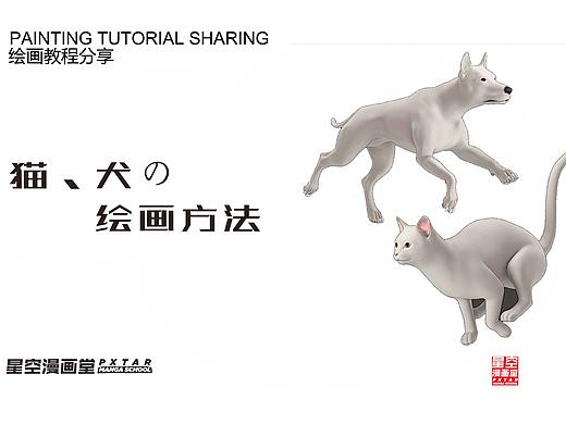 猫、犬の绘画方法
