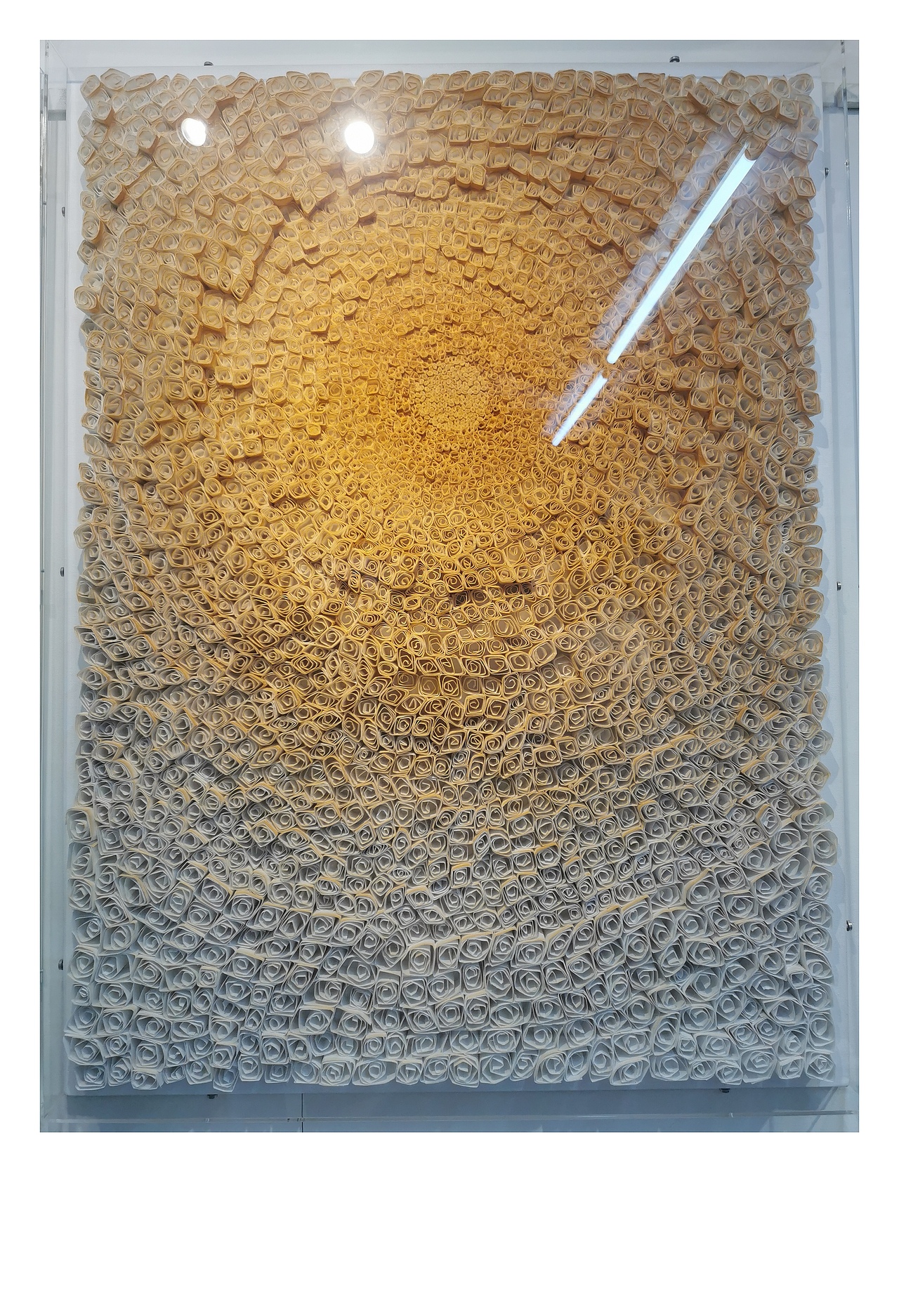 实物画 3（图ZMjczMjEwMDIw） - 商业插画 - 站酷设计师Z12064032原创素材 - 站酷ZCOOL