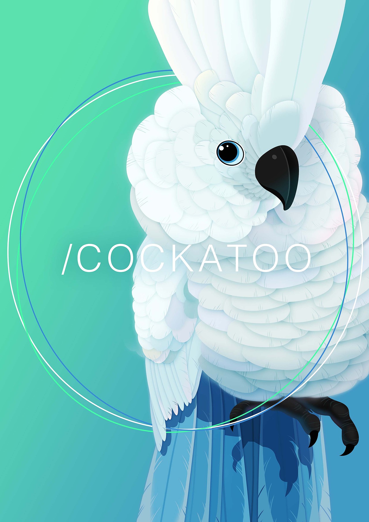 花&鸟 Part01（图ZNjkwMzg5NTI=） - 商业插画 - 站酷设计师岩畔原创素材 - 站酷ZCOOL