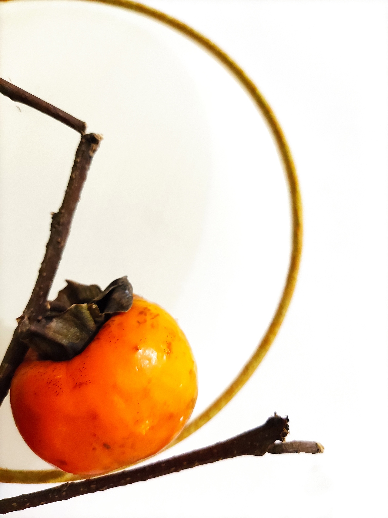 手机摄影3（图ZMjQyMDQxNDAw） - 产品摄影 - 站酷设计师191436255原创素材 - 站酷ZCOOL