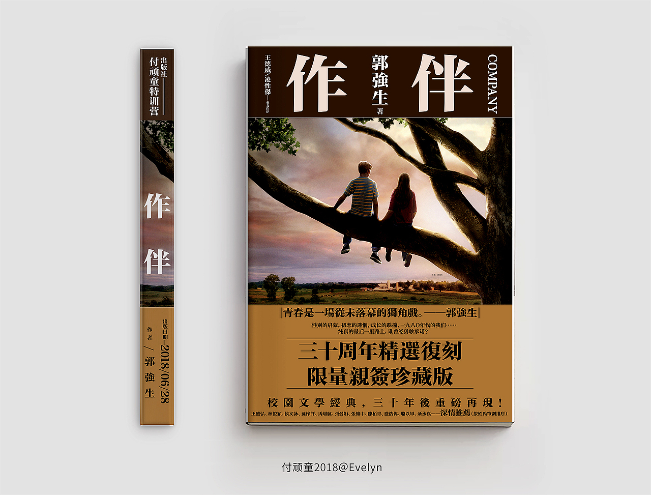 书籍封面（图ZMTI0ODE3MDIw） - 书籍/画册 - 站酷设计师EvelynXu原创素材 - 站酷ZCOOL