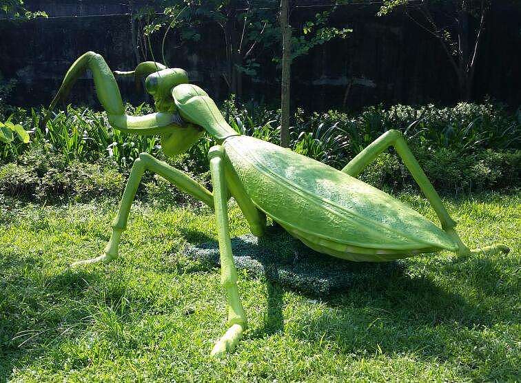 昆虫展出租 巨型仿真昆虫现货出租亚马逊昆虫展（图ZMjkxMDI5MzIw） - 文案/策划 - 站酷设计师展览模型工厂原创素材 - 站酷ZCOOL