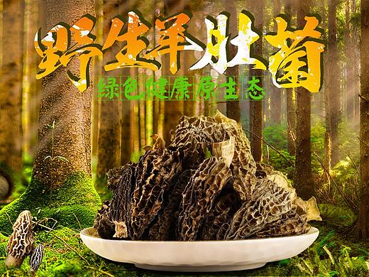 土特产海报/海报/野生羊肚菌/野生松子/核桃/坚果/蜂蜜