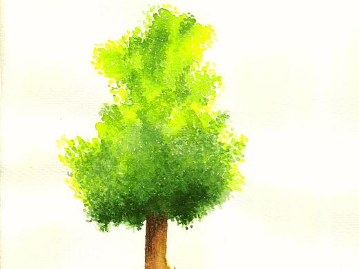 每周一画-树12