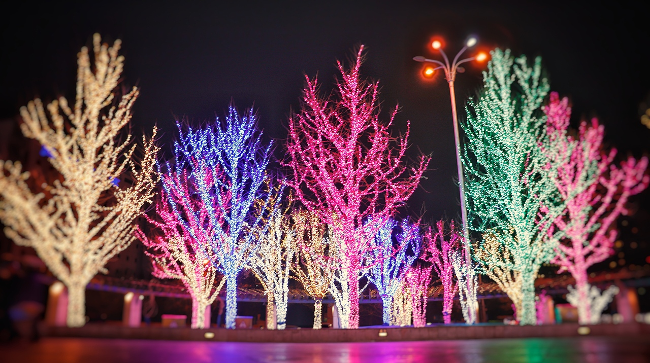 布置的不走心的蓝色港湾灯光节