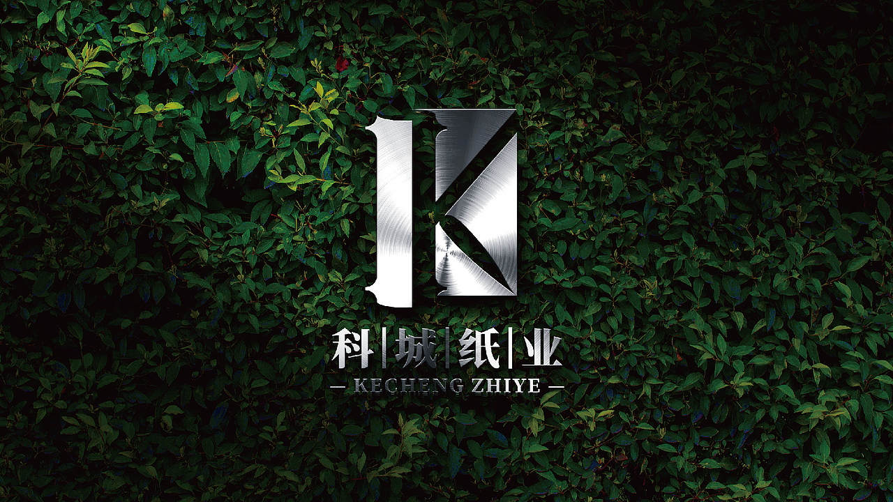 黑璞设计-商业案例一