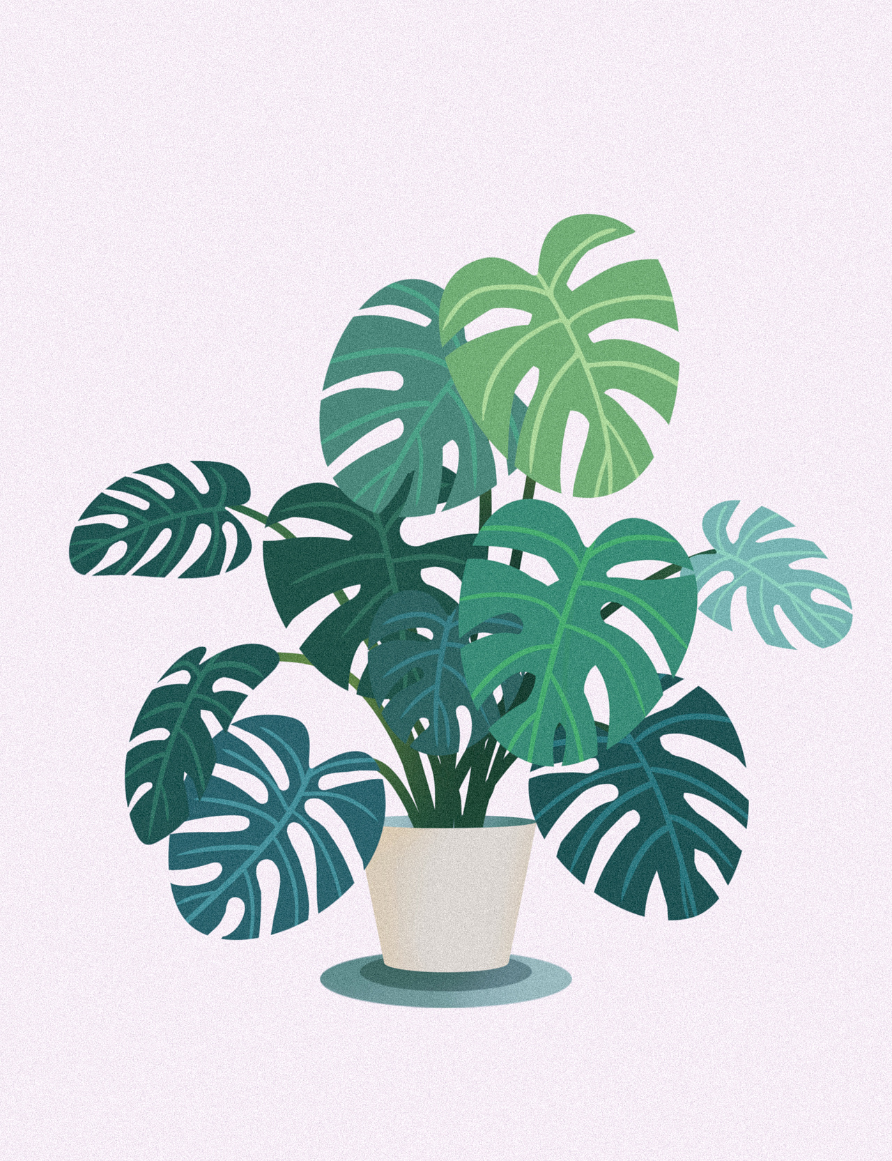 一组植物插画练习